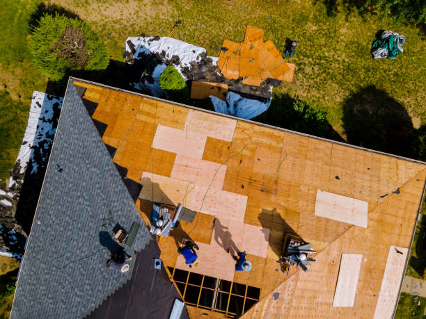 Best Roof Waterproofing Services  in Hazlehurst, GA
