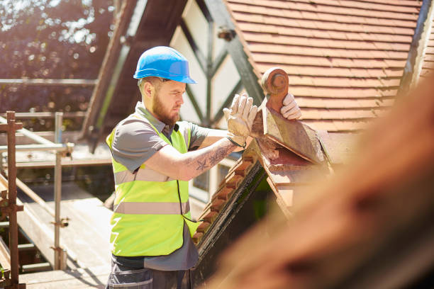 Best Sealant for Roof  in Hazlehurst, GA