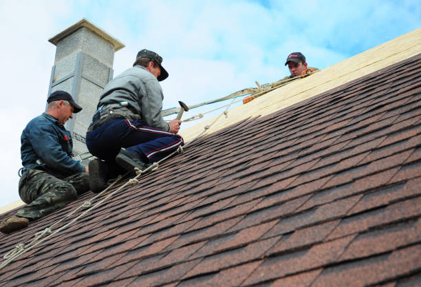 Best Metal Roofing Contractor  in Hazlehurst, GA